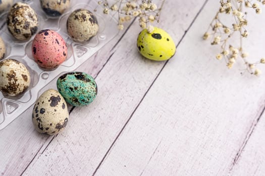 easter eggs and a branch of gypsophila on a light background. Easter greeting card. space for copying. close-up of quail eggs.