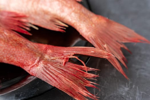 Two frozen headless carcasses of red sea bass, covered with frost on a plate. Kitchen. Fish diet. Fish tail