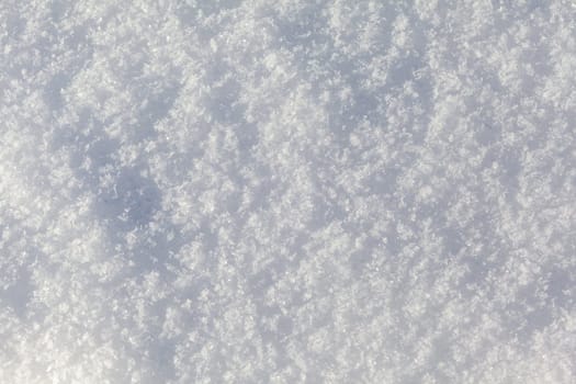 Clean, white snow close-up. Winter background. Snow surface. Fresh fluffy white snow texture.White snowflakes. High quality photo