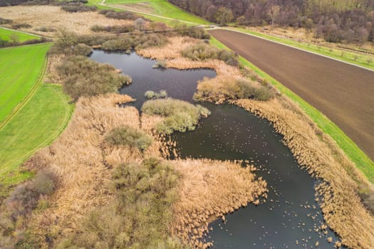 A pond and wet meadow as an aerial photo with grass, reeds and shrubs as well as plants and birds as a habitat, Germany