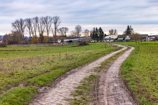 Rural idyll with dirt road, meadow and farm buildings in winter, Germany