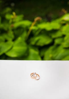 Wedding rings on the rocks near the grass.