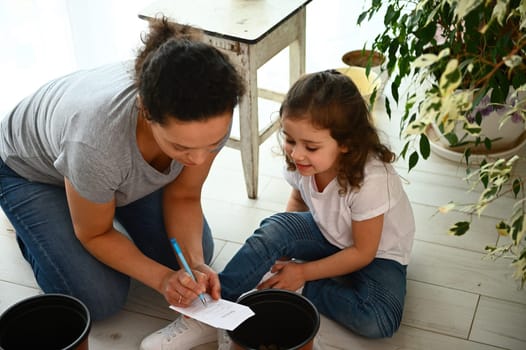 Mother and daughter put marks on the bags with seeds, during sowing seeds in the fertilized potted soil for growing organic plants in greenhouse conditions on the house balcony. People and nature