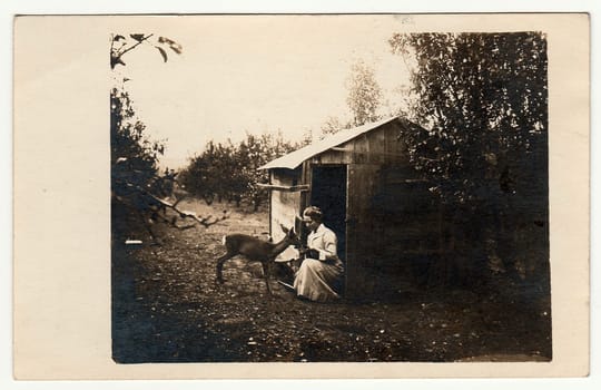 THE CZECHOSLOVAK REPUBLIC - CIRCA 1930s: Vintage photo shows woman feeds doe. She sits in front of a small garden house. Black white photo.