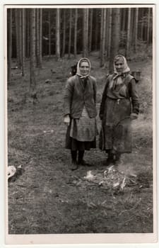 THE CZECHOSLOVAK REPUBLIC - CIRCA 1950s: Vintage photo shows rural women in the forrest . Black white antique photography.