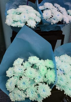 Blue tinting of Beautiful gift bouquets of chrysanthemums in kraft paper, on the counter of a flower shop, vertical.