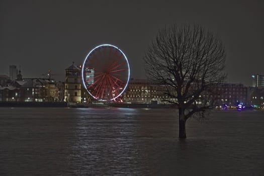 A single tree in flooded Rhine river with a ferris wheel in the background