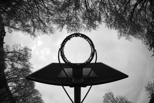 Grayscale of basketball hoop from below in the park