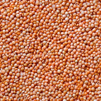 Seamless texture background of orange lentil groats, top view