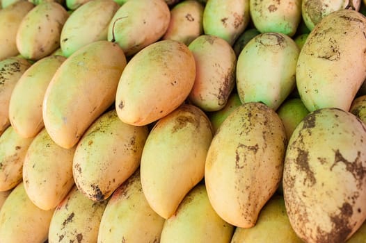Mango fruit at the vegetable market in Phuket, Thailand
