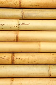 Bamboo cane background texture