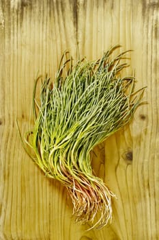 Bunch of agretti -salsola soda or opposite -leaved saltwort -on wooden table ,fresh uncooked green leaves