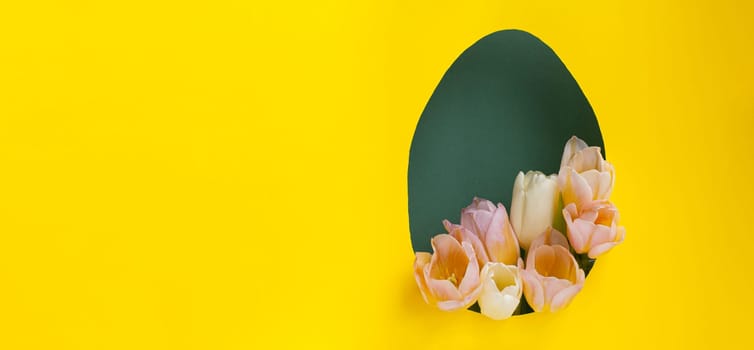 Creative Easter layout with fresh tulip flowers and leaves on bright yellow and green paper background. Spring natural concept. Shape in the form of an egg. Banner.