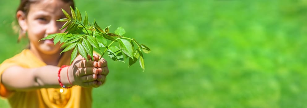 The child is holding a tree in his hands. Selective focus. Nature.