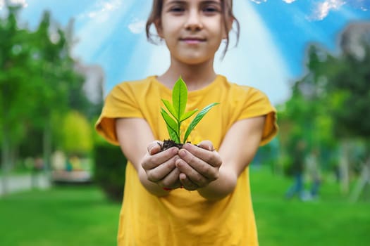 The child holds the plant and soil in his hands. Selective focus. Kid.