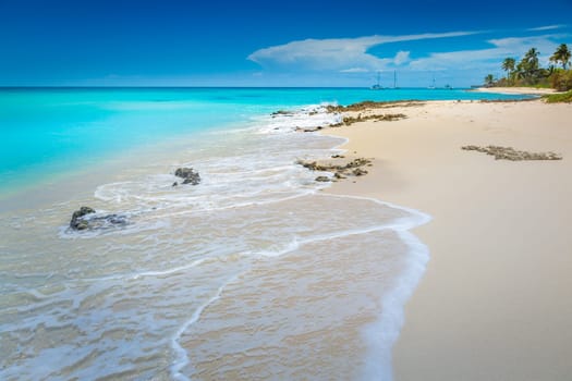 palm trees against blue sky and beautiful beach in Punta Cana at sunny day, Dominican Republic.