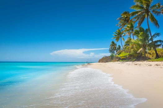 palm trees against blue sky and beautiful beach in Punta Cana at sunny day, Dominican Republic.