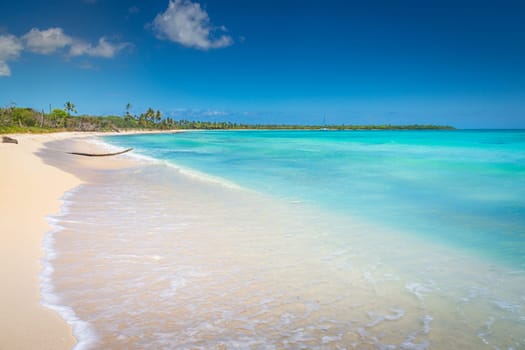 palm trees against blue sky and beautiful beach in Punta Cana at sunny day, Dominican Republic.