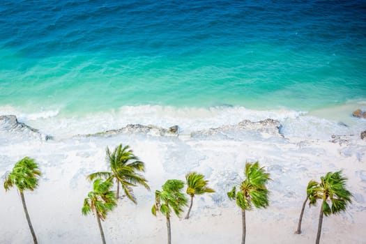 Cancun beach with palm trees from above at sunset, Riviera Maya, Mexican Caribbean