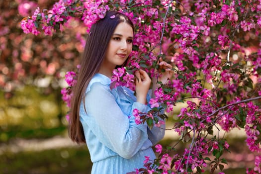 A beautiful brunette girl, long hair, blue dress, stands near a pink blooming apple tree,looking away. Copy space