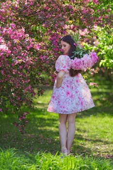 A happy girl with long hair, a brunette, in a light pink dress, holding a bouquet of large pink peonies behind her back, standing near pink flowering apple trees, in the garden on a sunny day in summer, rear view. Back view. Vertical