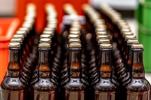 full bottles of beer in a row in the warehouse ready for export. High quality photo