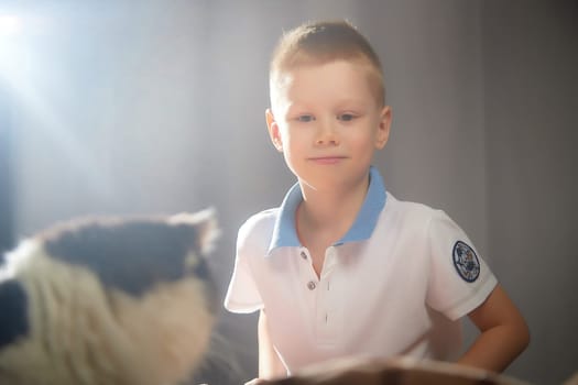 Cute little boy playing with white and black cat in photo studio with white fabric background. Concept of friendship of child and pet