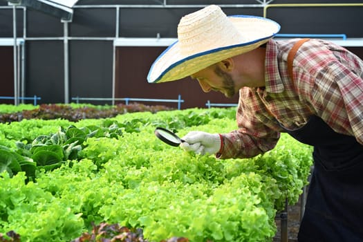 Caucasian farmer with magnifying glass checking plants in hydroponic greenhouse. Agricultural business concept.