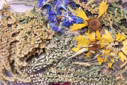 Herbarium dry yellow flower and grass leaves close up