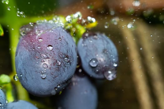 Juicy grapes close-up macro with drops of water. Sweet summer dessert. Selective focus