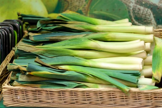 Lifted leeks, allium ampeloprasum, variety Musselburgh, in a grocery hypermarket