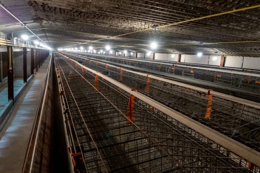 The empty laying cages in the chicken farm