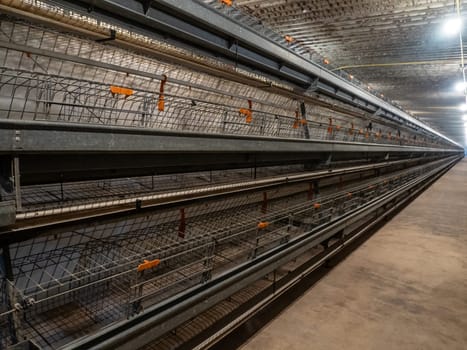 The empty laying cages in the chicken farm