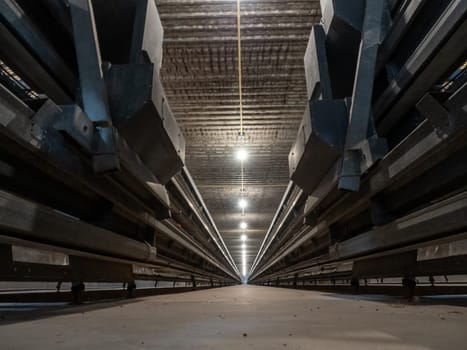 The empty congested laying cages in the chicken farm