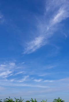 Fluffy clouds floating scattered across the sky