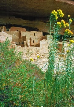 Ruins in Mesa Verde, Colorado
