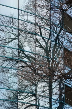 trees are reflected in the glass facade of a modern building.