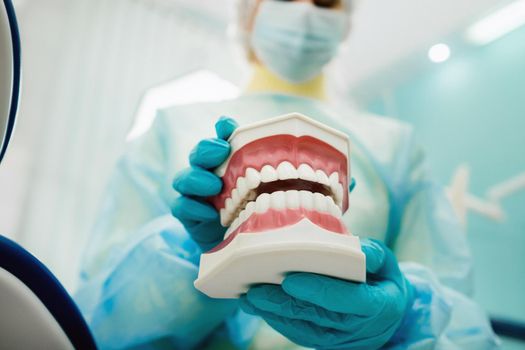 A model of a human jaw with teeth in the dentist's hand.