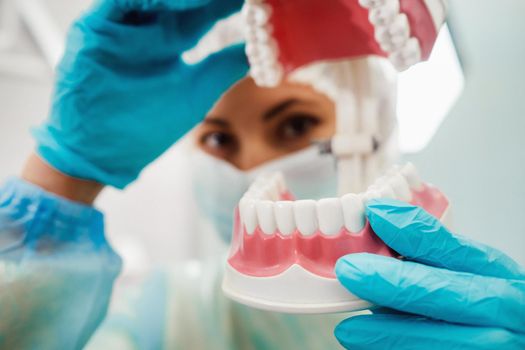 A model of a human jaw with teeth in the dentist's hand.