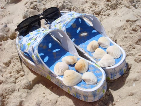 Beach accessories, sun glasses and sea shells on the sand beach. Summer vacation concept