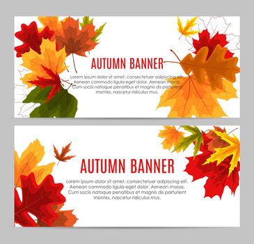 Shiny Autumn Leaves Banner. Business Discount Card. Vector Illustration EPS10