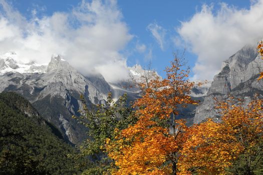 Blue Moon Valley at Lijiang,Yunnan Province, Southwestern of China