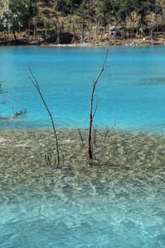 Clear Water River of Blue Moon Valley, Yulong Snow Mountain in Lijiang,Yunnan , China.