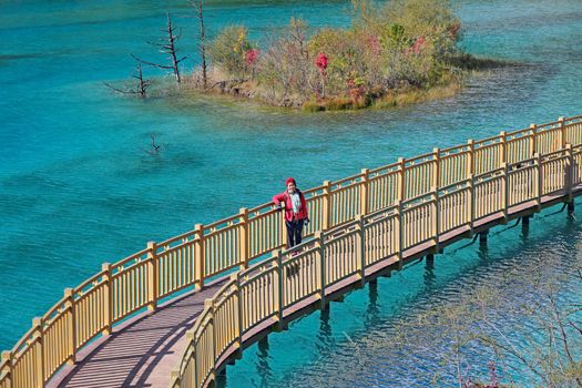 Walk way in Blue Moon Valley at Lijiang,Yunnan Province, Southwestern of China