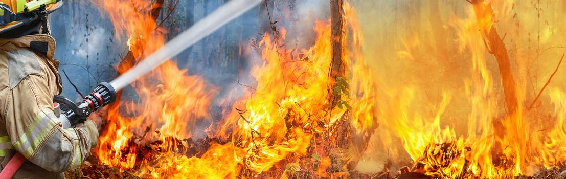 firefighters spray water to wildfire