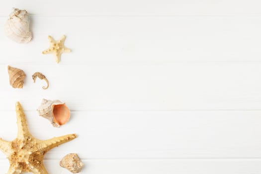 Sea coast banner. Seashells and starfish on white wooden background. Top view. Beach vacation concept. Seahorse and mollusc souvenir. Flat lay.