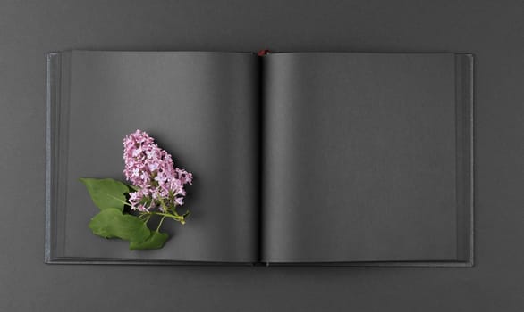 Black open notebook with lilac flowers on an isolated background. Top view.
