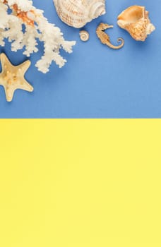 Seashells of sea molluscs with starfish on blue and yellow background. Photo top view with copyspace. Concept of a beach holiday on the coast. Flat lay.
