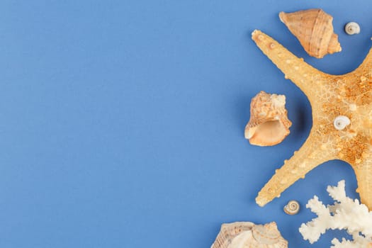 Seashells of sea molluscs with starfish on blue background. Photo top view with copyspace. Concept of a beach holiday on the coast. Flat lay.