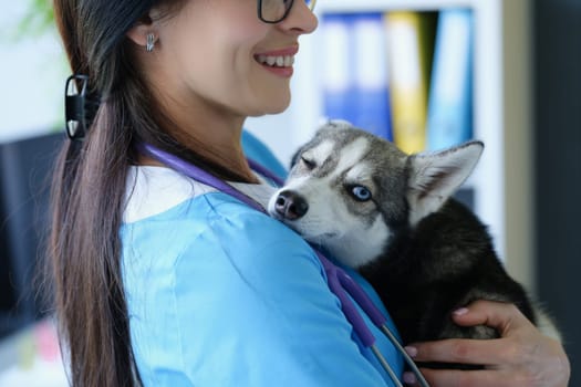 Veterinarian is holding small husky dog with eye problem. Corneal erosion and treatment in animals concept